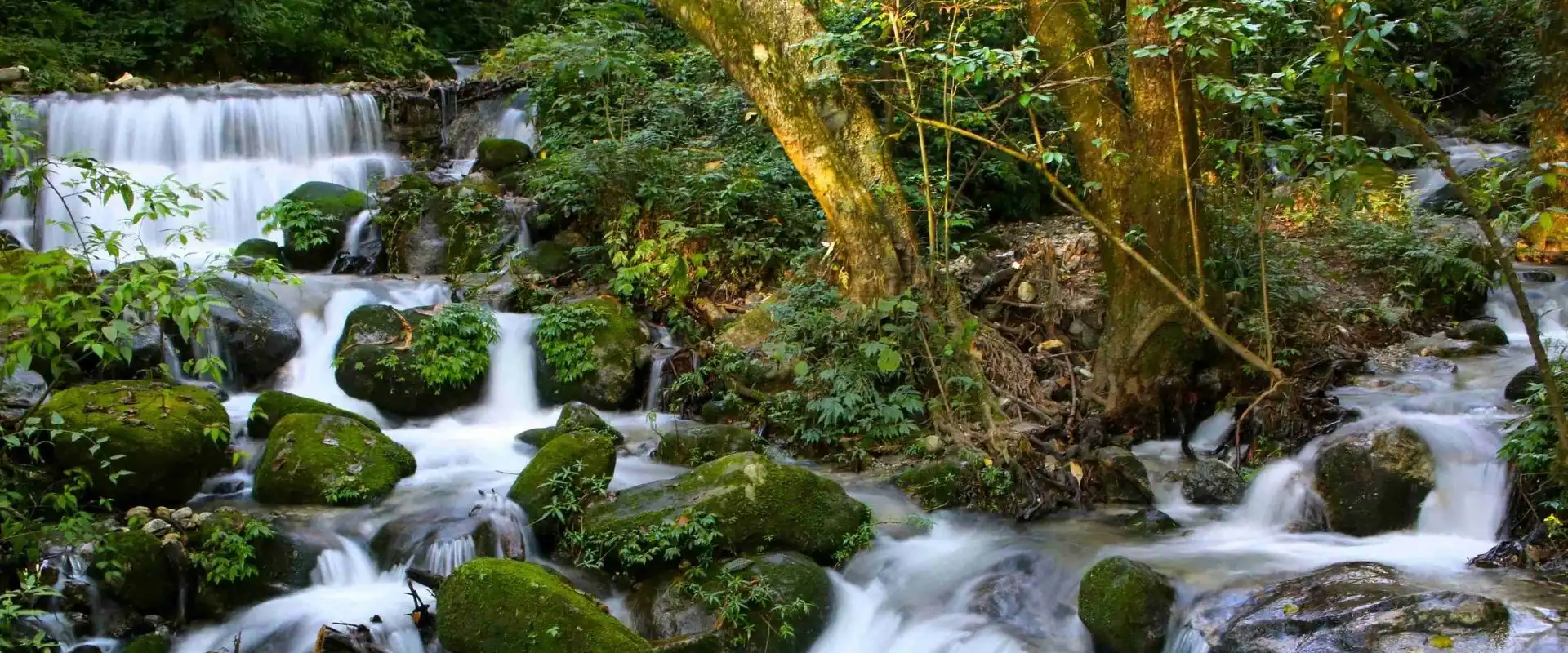 Shivapuri Nagarjun National Park