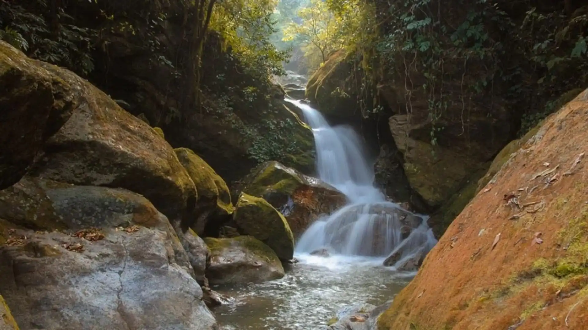 Sundarijal to Chisapani Hiking